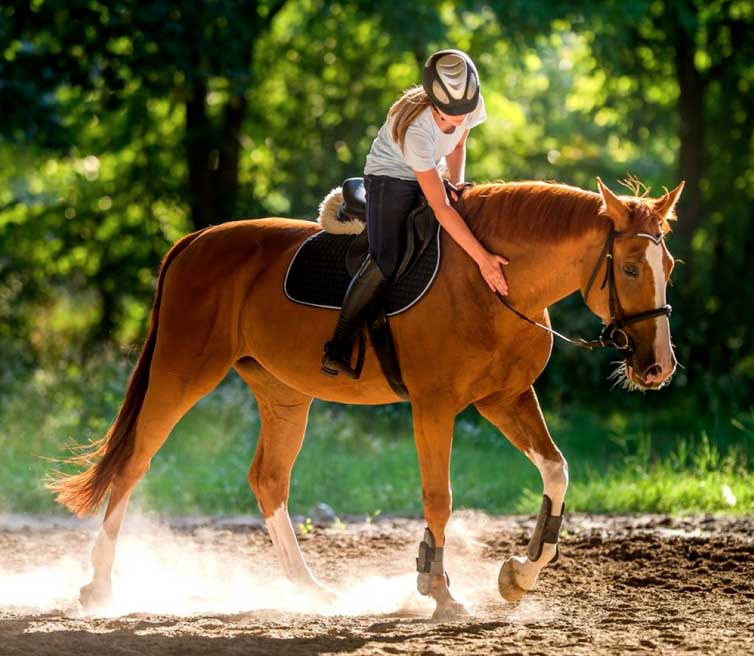 Equitation