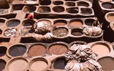 EXPLORE THE TANNERIES OF FEZ