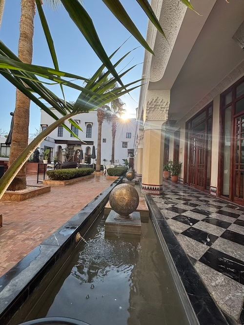Garden at Mayfez between modernity and tradition
