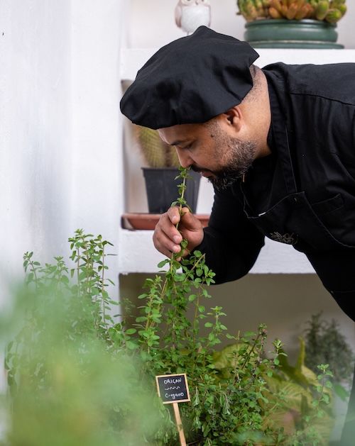 herbes aromatiques